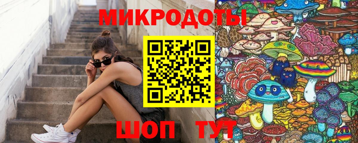 Псилоцибиновые грибы Psilocybe Качканар