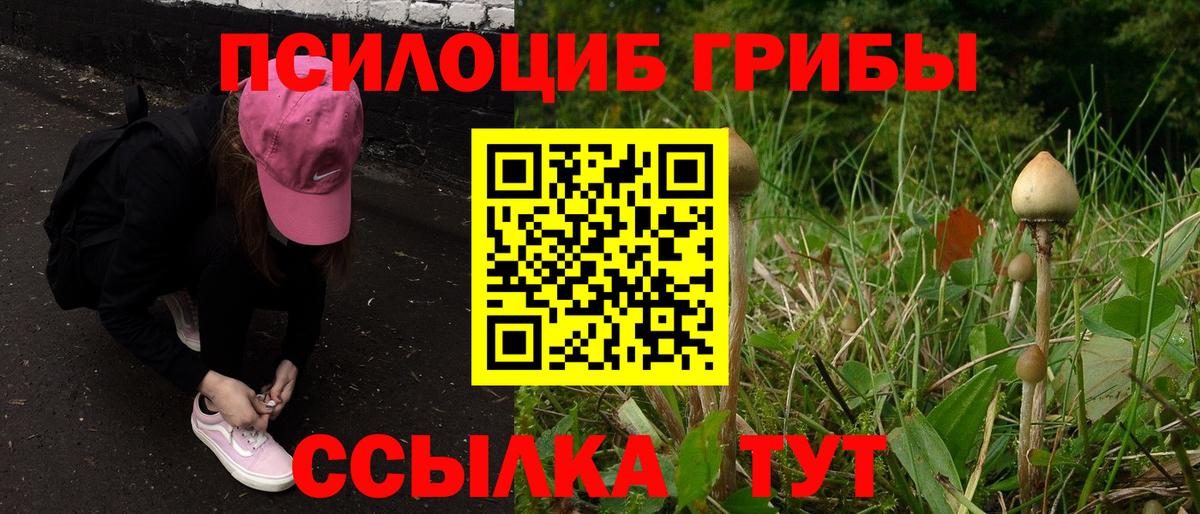 Качканар  Галлюциногенные грибы ЛСД  Вход с VPN 